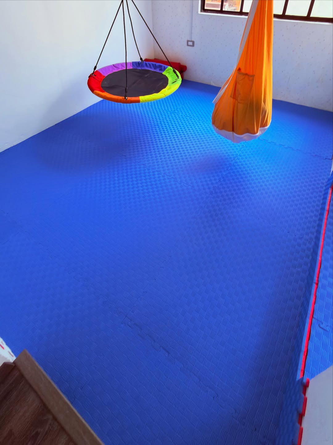 Gimnasio Neuromotor